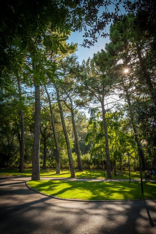 Camping La Sousta**** Remoulins Zewnętrze zdjęcie