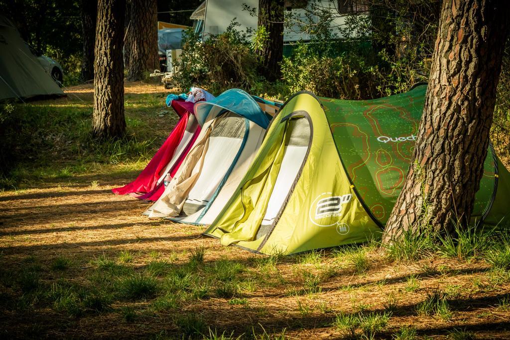 Camping La Sousta**** Remoulins Zewnętrze zdjęcie