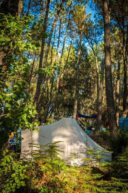 Camping La Sousta**** Remoulins Zewnętrze zdjęcie