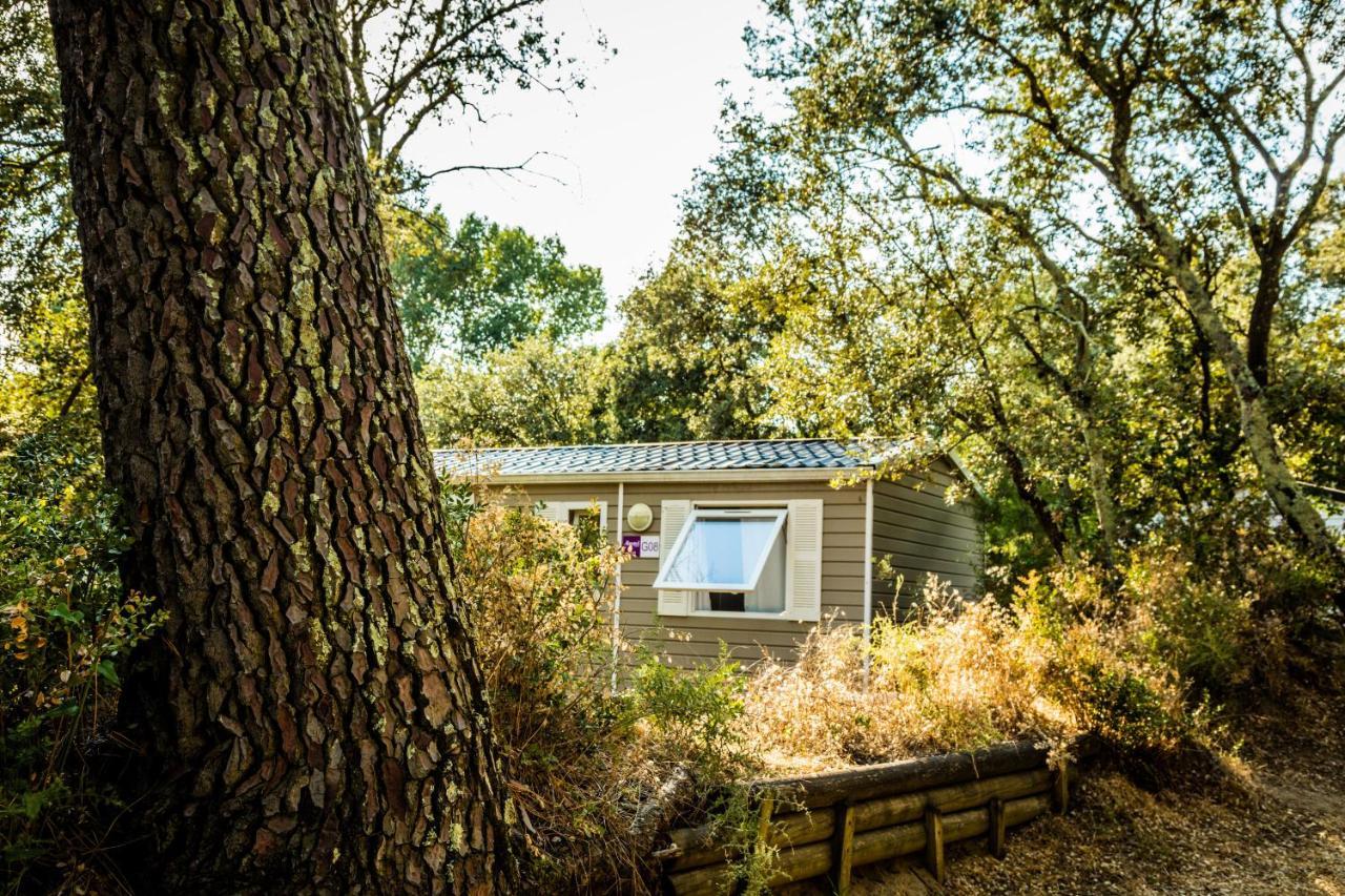 Camping La Sousta**** Remoulins Zewnętrze zdjęcie